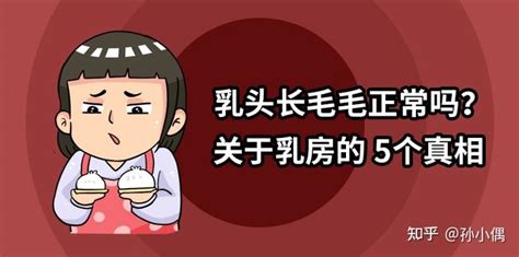 乳房有毛|乳头边上有毛毛正常吗？10 个你需要知道的小问题